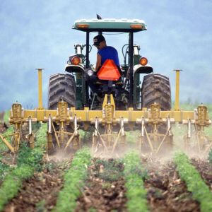 Farms, Wineries & Distilleries